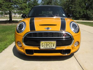 Love the nose, especially with the racing stripes!