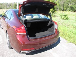 Copious trunk space in the Genesis!