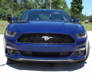 mustang nose