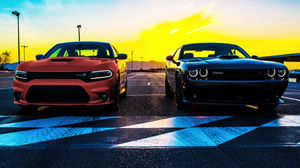 Most loved cars, cars with devote owners, popular cars with owners