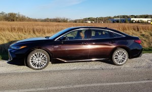2019 Toyota Avalon Hybrid