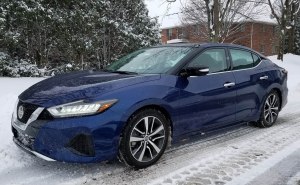 2019 Nissan Maxima