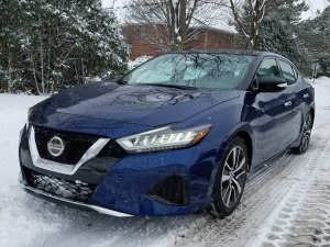 2019 Nissan Maxima