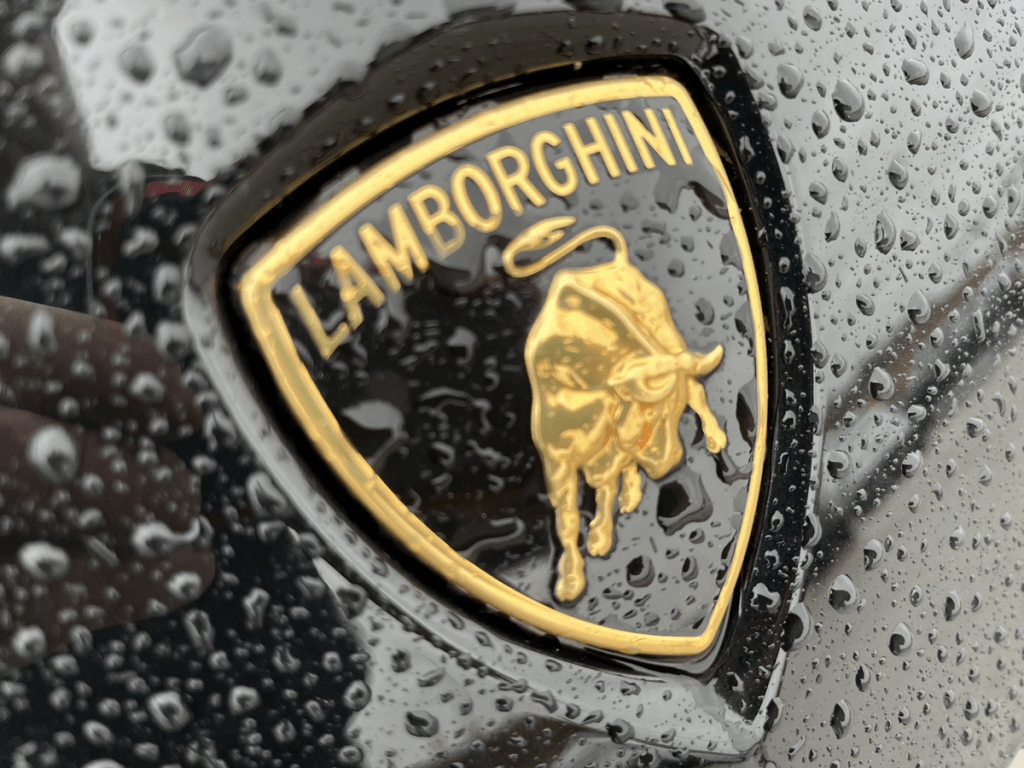 Lamborghini Logo