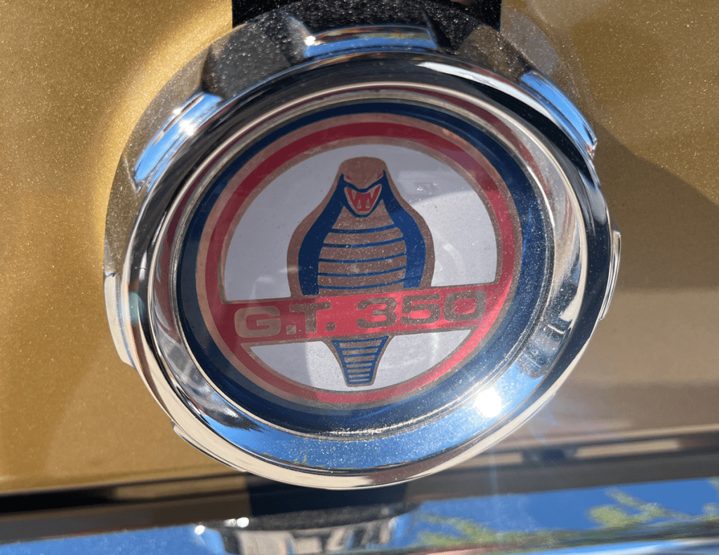 66 Ford Mustang Hertz Rent a Racer GT350-H