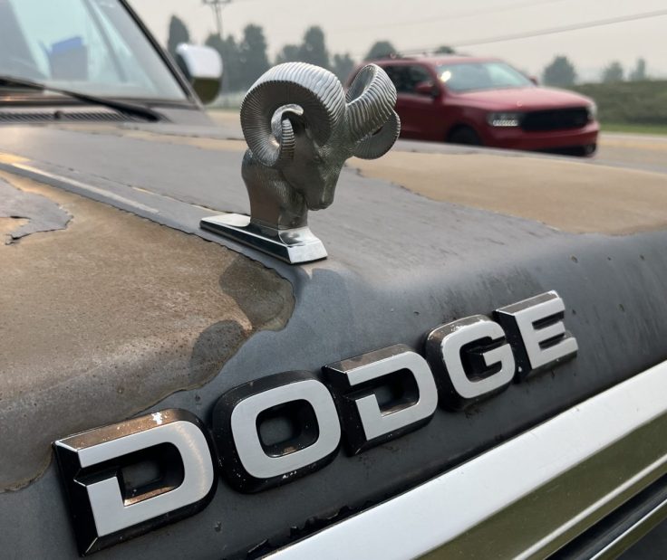 86 Dodge Ramcharger hood ornament.